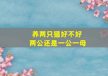 养两只猫好不好 两公还是一公一母